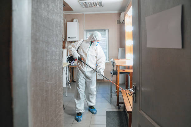 Best Residential Mold Inspection & Testing  in Cascade Valley, WA